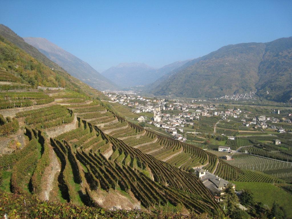 Altavilla Locanda E Tipica Trattoria Bianzone