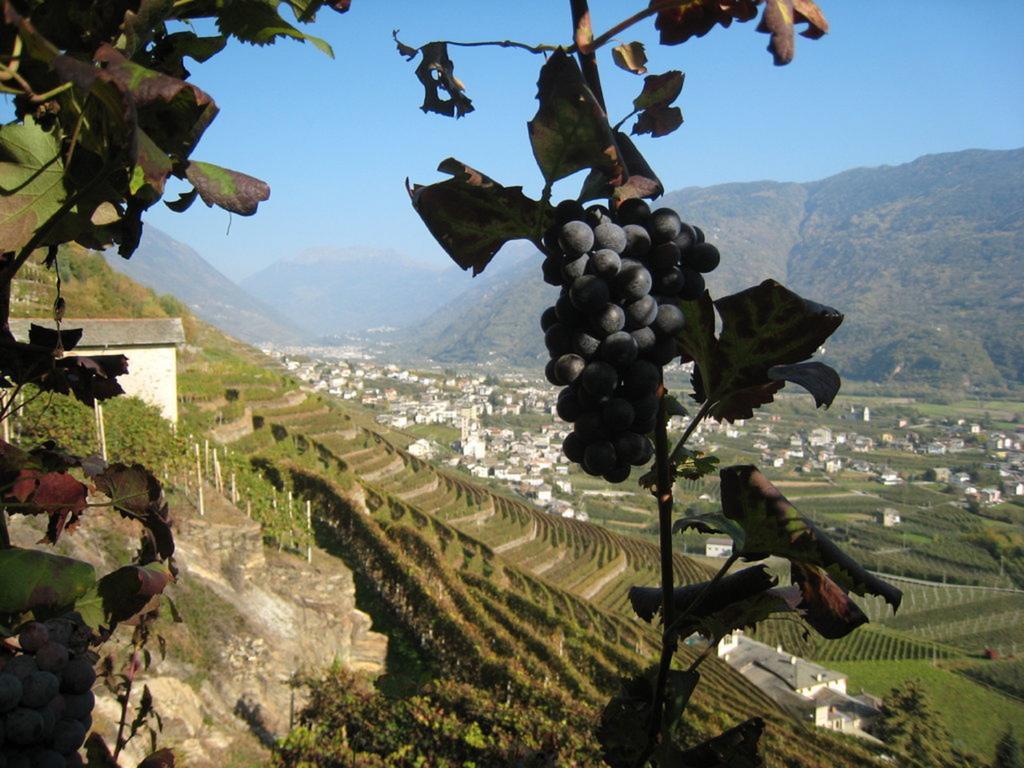 Altavilla Locanda E Tipica Trattoria *