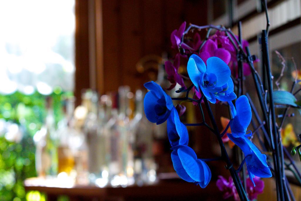 Hotel Altavilla Locanda E Tipica Trattoria *